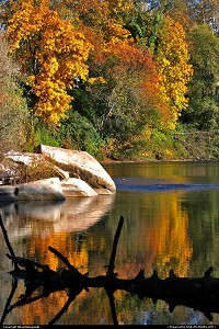 Photo by RhondaRogalski | Grants Pass  fall, autumn, gold, yellow, red, orange, blue, reflection, rogue river, river, scenic, nature, colors, oregon, grants pass, rogalski